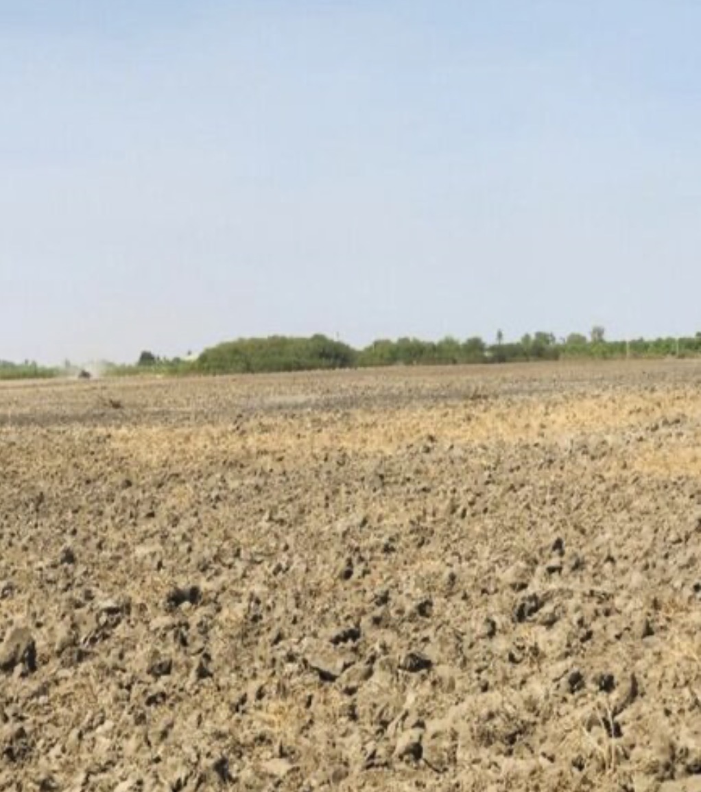 Terrain de 100 hectares à vendre à Bayakh — photo 1